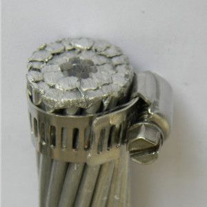 Steel Core Wire ACSR 250mm2 High Quality ACSR Bear Conductor for Overhead Transmission Line