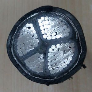 Steel or Aluminium Tape Armour 0.6/1kv U 1000 Arvfv Cable (HGE) 3X240+95mm2