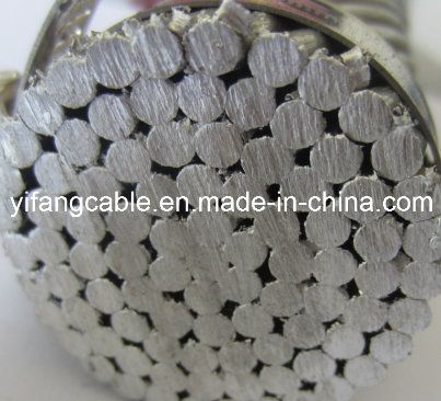 Stranded Concentric Lay Rope Conductor 927.2 AAAC Greely Conductor / All Aluminium Alloy 6201 Conductor Used for Distribution Services