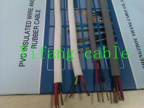 Twin and Earth Flat Wire