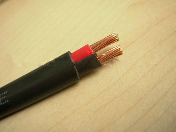 Two Core Round 450/750V House Wiring 4mm2 Copper Building Electric Wire
