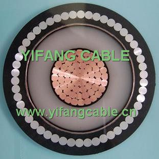 XLPE Insulation, Awa/ATA Single Core Mv Power Cable