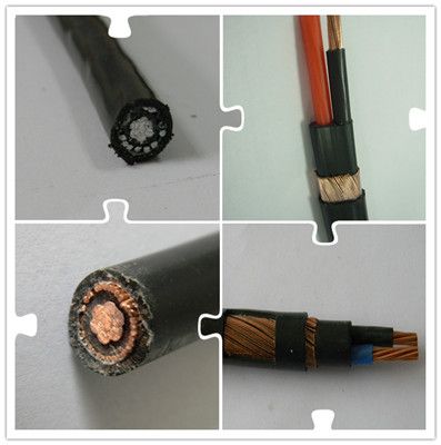 Yifang 0.6/1kv Aerial Service Concentric Neutral Cable with Pilot Communication Wire Sne Cne Airdac Cable