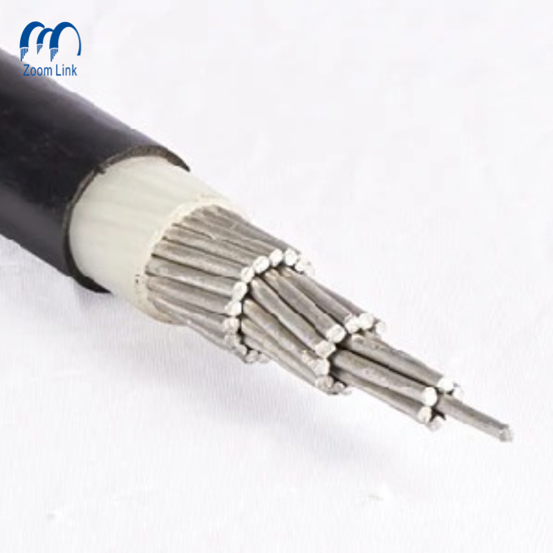 Aluminum Conductor 2AWG XLPE Insulated Concentric Cable Manufacturer
