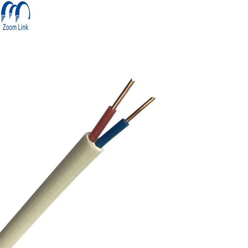 Câble BVV/BVVB/RV/Rvv 1.5 mm 2.5mm 4mm 6mm 10mm Câble de maison Câble de bâtiment