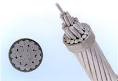 AAC Conductor Wasp 100mm2 BS 215 Part1