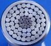 Aluminum Conductor Steel Reinforced ACSR Conductor