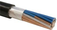 Câble concentrique gaine PE/XLPE