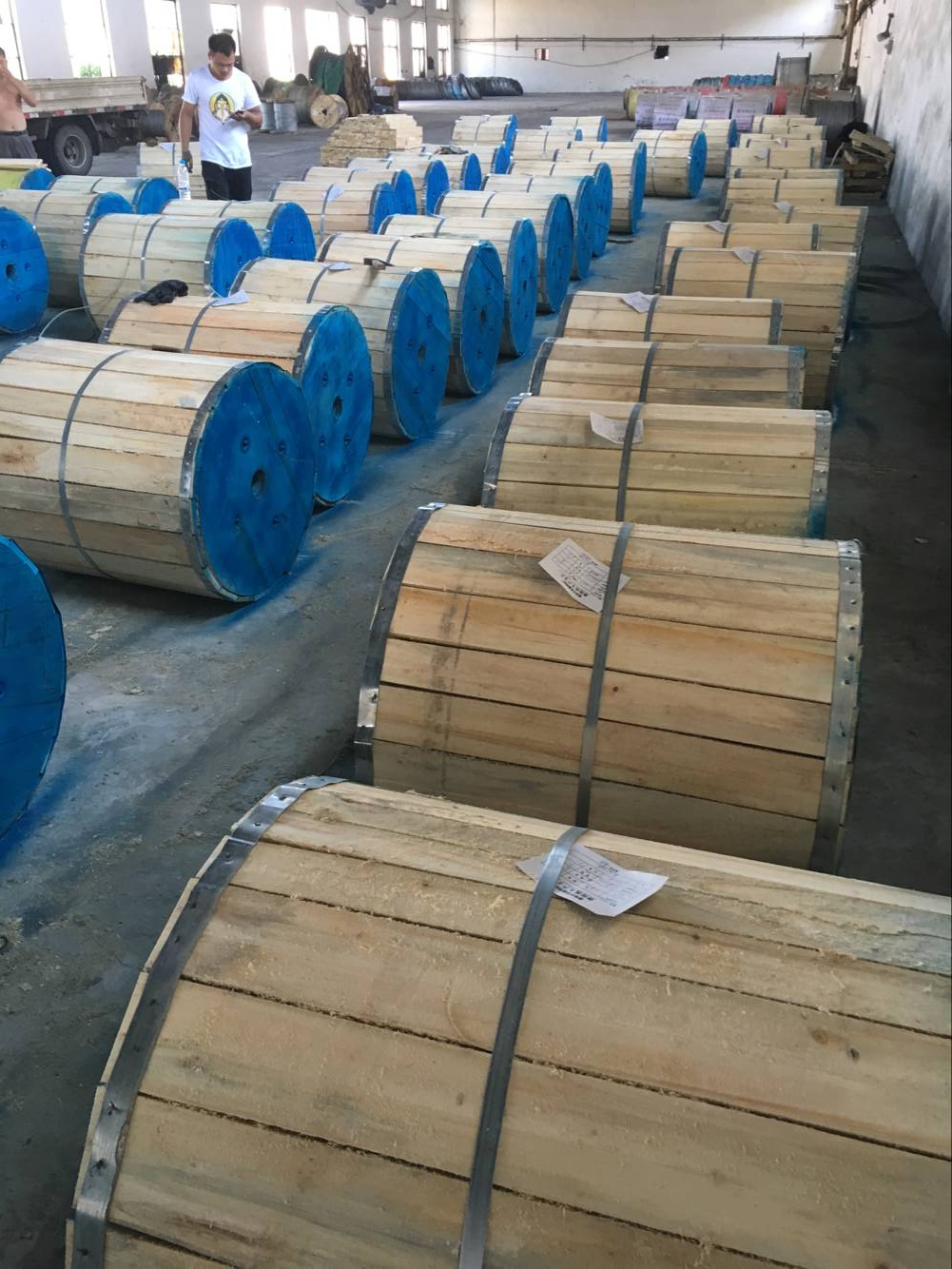 Dog150 Aluminum Wire AAC/AAAC/ACSR/PE/XLPE Insulated