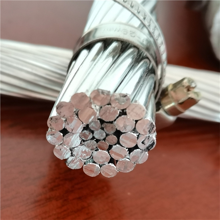 Hot Selling ACSR-Aluminum Conductor Steel Reinforced