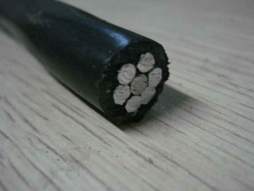 Low Voltage PVC Insulated AAC Conductor Wasp