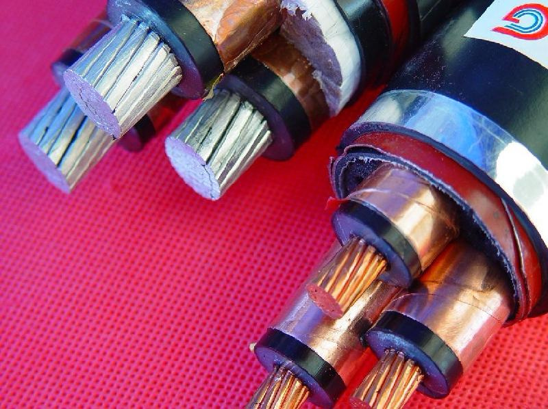 Low Voltage Power Cable 2X10+1X10 mm2 XLPE Insulation Swa/Steel Wire Armour