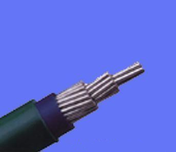 PVC Insulation AAAC Conductor Oak 100mm2