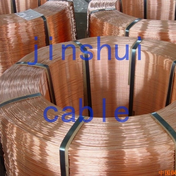 Tinned Plated/Coated Copper Wires Factory Direct Supply