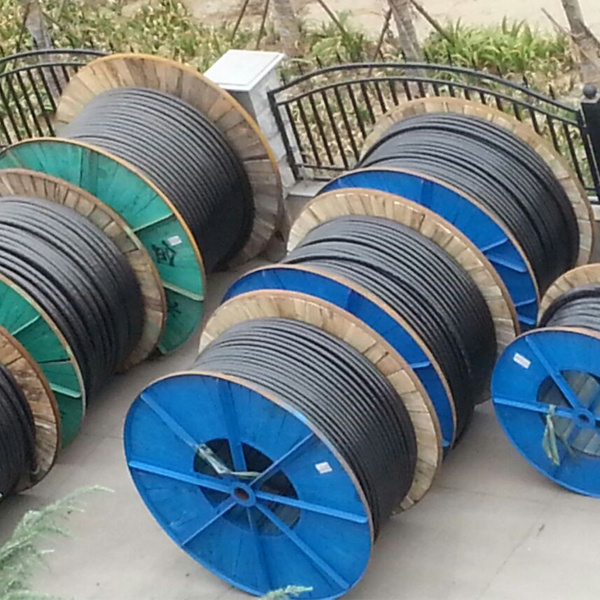 XLPE/PVC Insulated Power Cable /Fire Resistant Cable