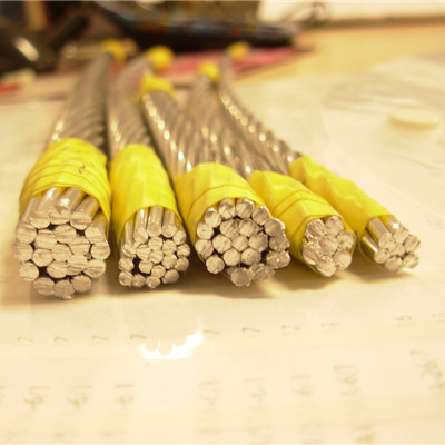 Bare Conductor Aluminum Conductor AAC