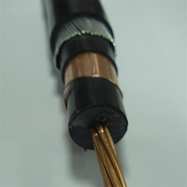 Copper Conductor XLPE Insulated Armoured Medium Voltage Cable