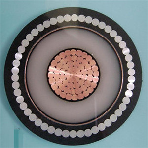 Mv AC Cable 1- 1X240mm2 Na2xsr (FL) 2y 24 Kv Cable