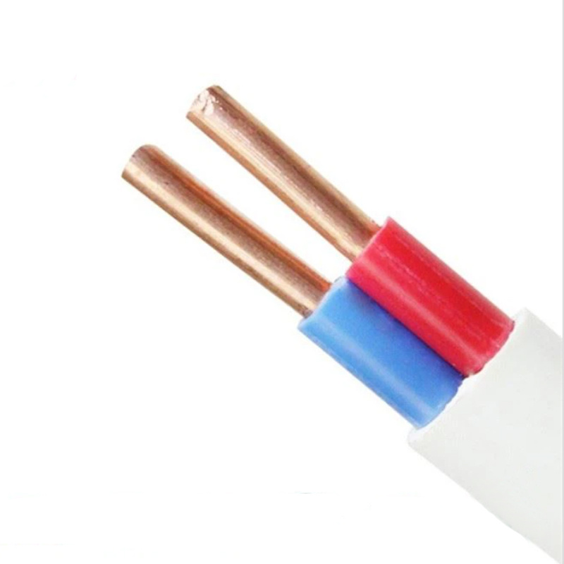 Blvvb BVVB Copper Electrical Wires and Cables with PVC Insulation Power Electric Cable Wire
