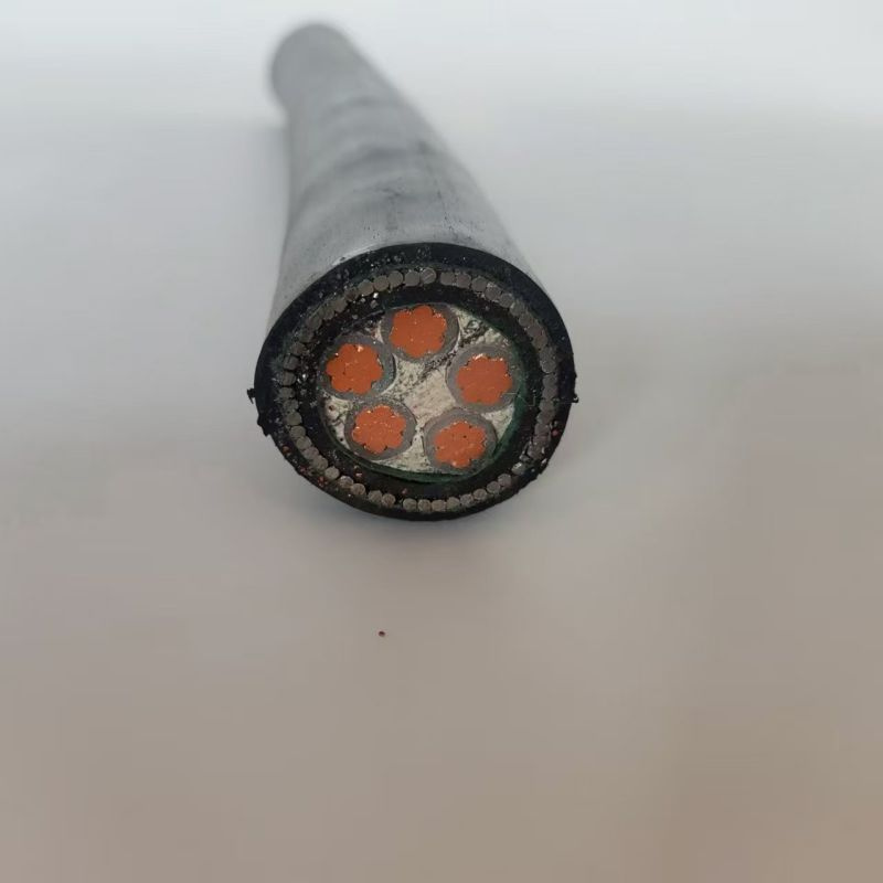 China Copper Conductor XLPE Insulated PVC Sheated Swa Armoured Power Cable