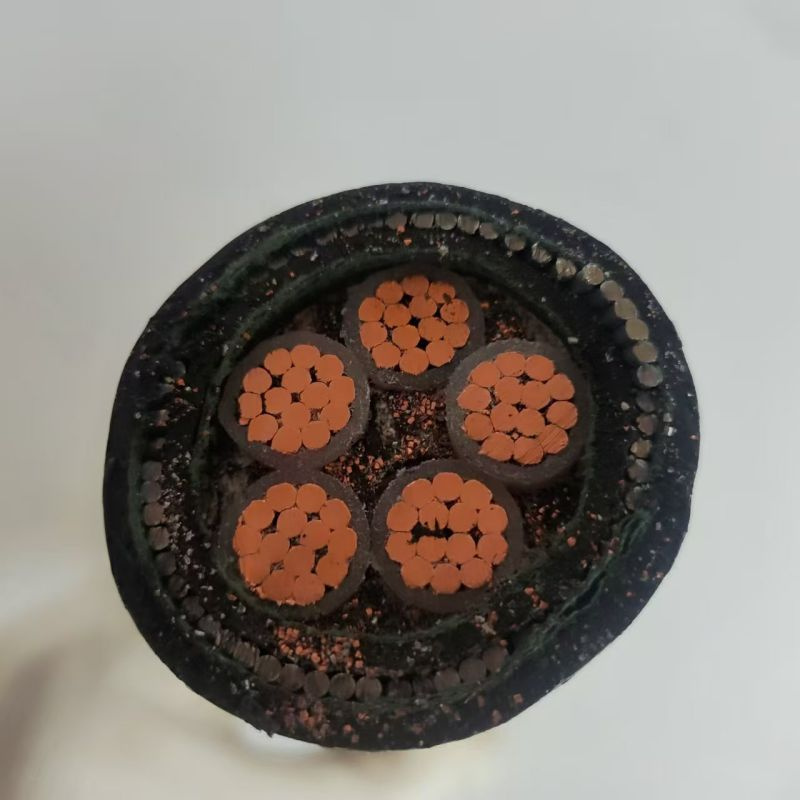 Low Voltage XLPE/Swa/PVC Armoured XLPE Cable 5 Core Power Cable