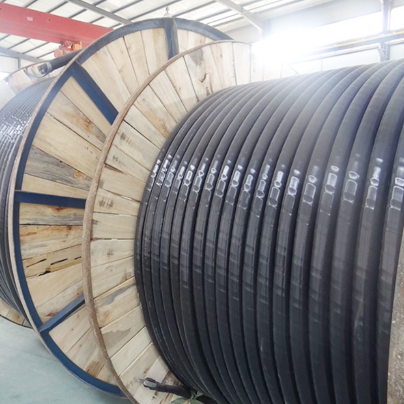 Medium Voltage Yjlv Yjlv22 Yjlv32 Aluminum Conductor XLPE Armoured Power Cable