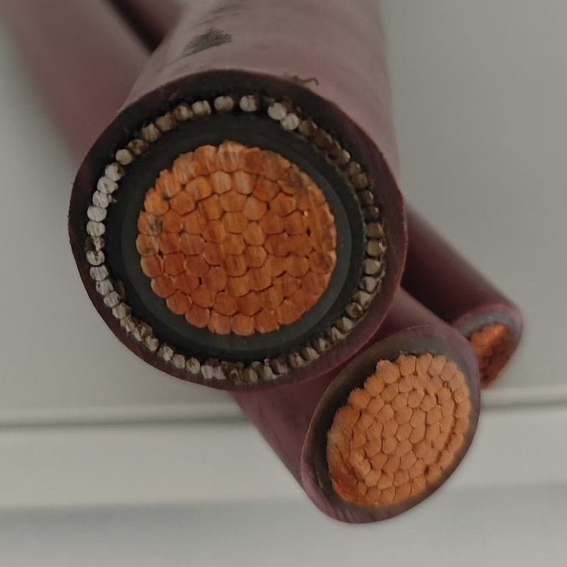 Top Quality XLPE/Cws/PVC/Awa/PVC Electrical Power Cable