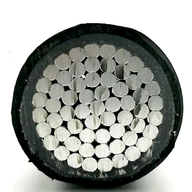 Yjlv 2-Core Aluminum XLPE Insulated Power Cable National Standard Power Cable
