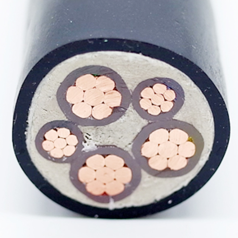 Yjy Yjly Yjv Yjlv XLPE Insulated Unarmoured Power Electric Cable