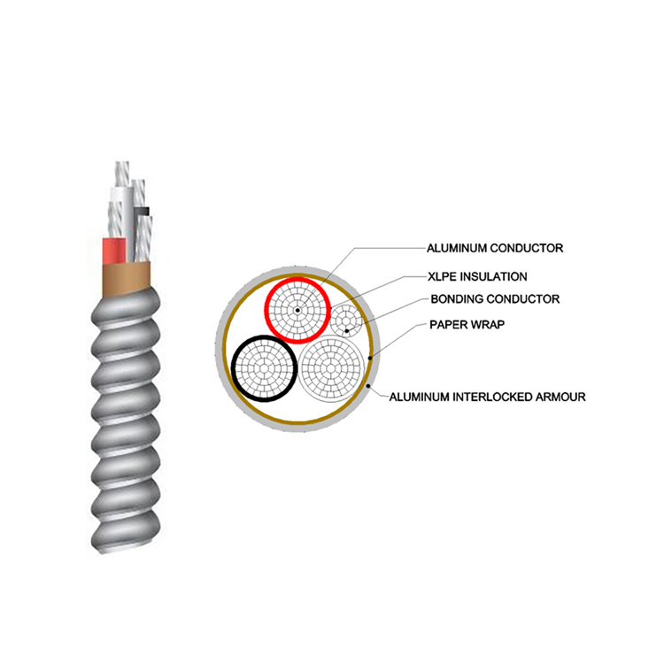 14/3 12/3 10/3 8/3 14/2 12/2 10/2 12/4 10/4 Aluminum Conductor XLPE Insulated Aia Interlocked Armoured AC90 Electric Wire