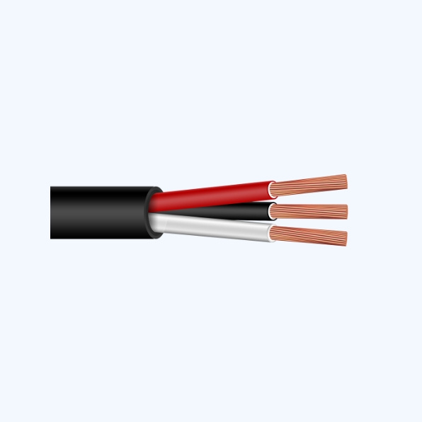 14/3 3c 2.0mm 3X2.0mm2 Copper Conductor Lead Free Flame Retardant PVC Royal Cord for Philippines