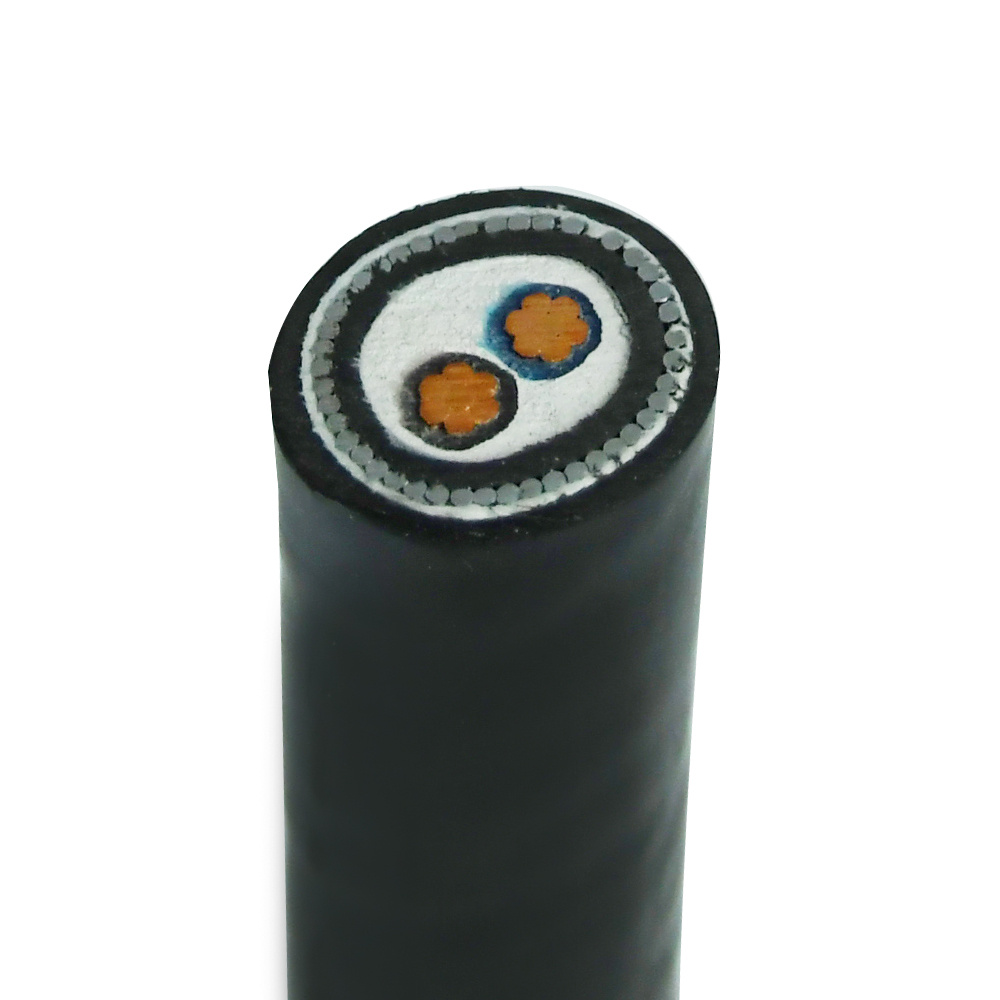 2 Core 10mm 16mm 16mm2 95mm2 185mm 125mm Aluminium Copper Armured XLPE Power Cable Price