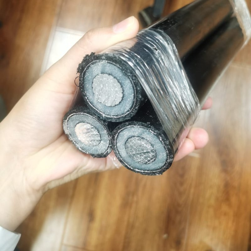 2xs (FL) 2y / A2xs (FL) 2y Na2xs (FL) 2y-Triplex 2xsey N2xsey A2xsey Na2xsey Aluminium Underground Cable
