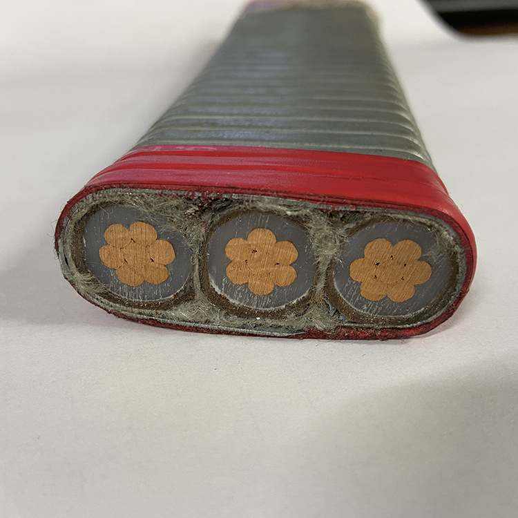 3kv 4kv 5kv 2AWG 4AWG 5AWG 6AWG 7AWG Qyee Round Flat Esp Cable