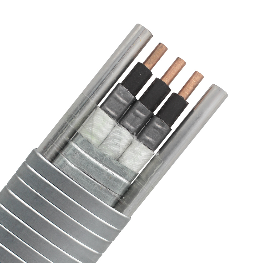 3kv 4kv 5kv 2AWG 4AWG 5AWG 6AWG 7AWG Qyeny Round Flat Esp Cable
