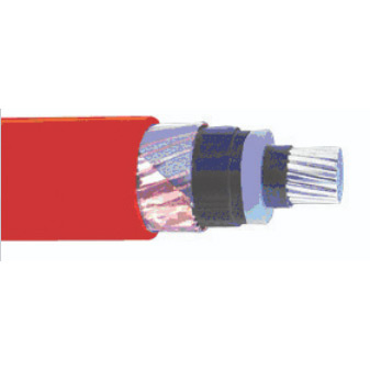 6-35kv Na2xseb2y N2xseb2yy N2xsey Na2xsey N2xsey-FL Na2xsey-FL N2xsey-Ls N2xsr (AL) 2y 11kv Cable with CE