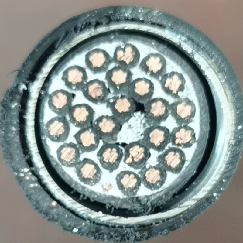 600V12*12AWG+1*14AWG 25*12AWG+1*14AWG Cu/XLPE/PVC/Aia/PVC Teck90 Teck 90 Copper Control Cable