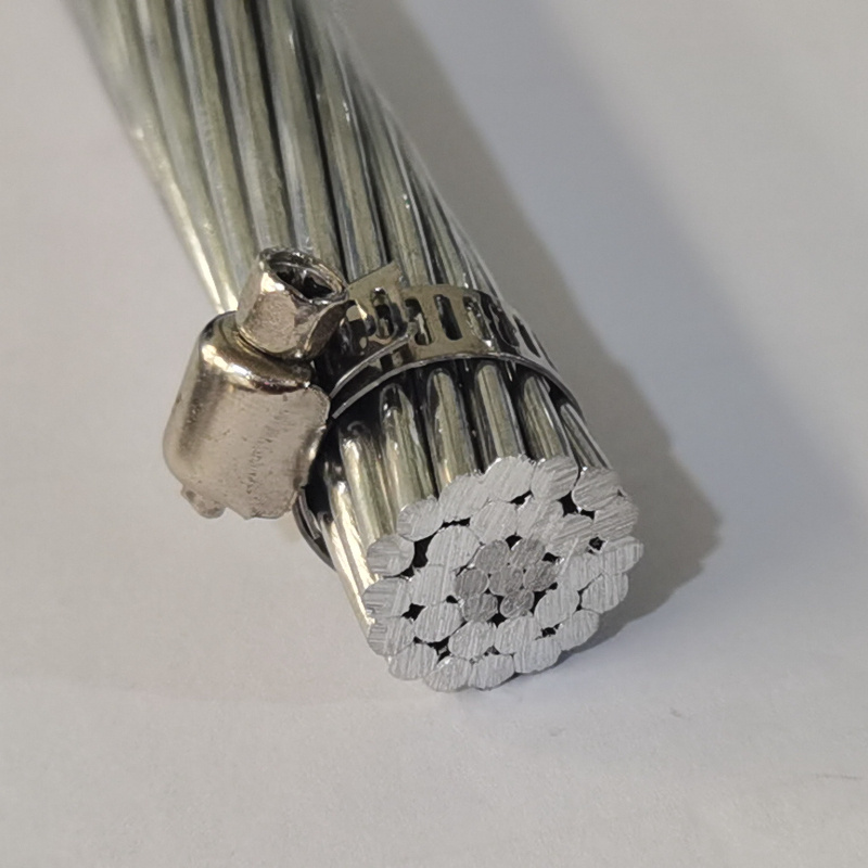 Customized ACSR Bare Conductor ASTM Dotterel Dorking Brahma Cochin Grosbeak Scoter Egret Transmission Line