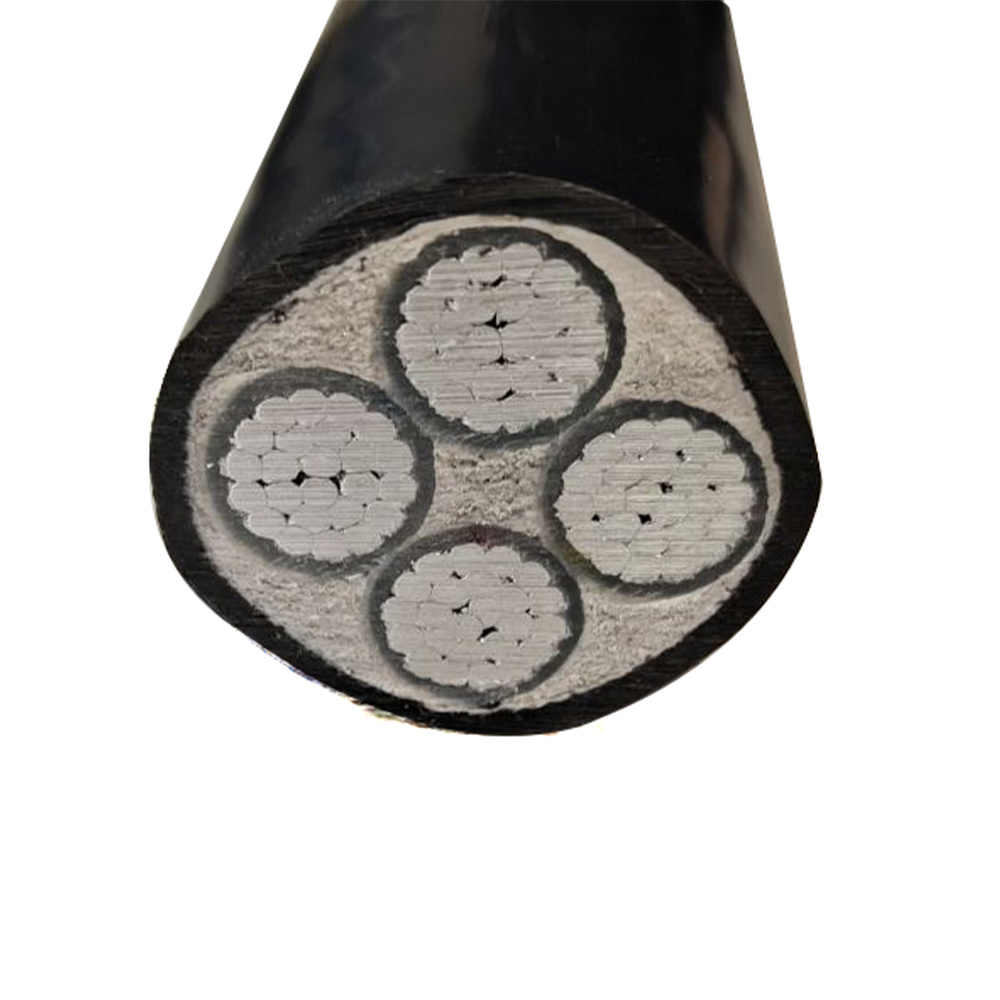 Eayy 0.6/1 Kv PVC Insulated PVC Sheathed Power Cable with Aluminium Conductors Ayy