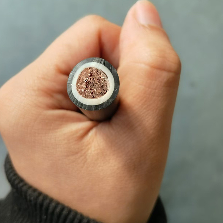 H01n2-D 10mm2 16mm2 25mm2 35mm2 50mm2 70mm2 95mm2 En 50525-2-81 Neoprene Rubber Insulated Flexible Copper Welding Cable