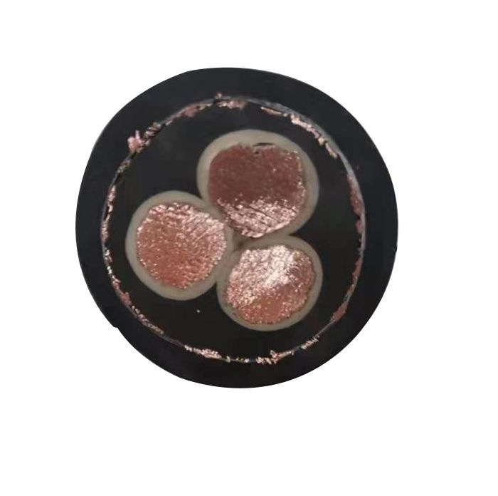 Huadong ABS Approved Cjpf96/Sc 3*185mm2 3*150mm2 3*120mm2 3*95mm2 3*70mm2 3*50mm2 Marine/Shipboard Power Control Cable