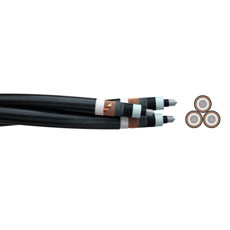 Na2xs (F) 2y Apvbpug 6/10kv 12/20kv 18/30kv 3 Core 3X185/70 3X240/95 Stranded Waterproof Waterblocking Medium Voltge Aluminium Power Cable
