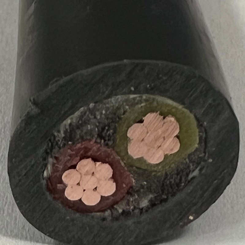 Wdz-Yjy 0.6/1kv 2*10mm2 2X10mm2 2 Core 2c 10mm 2X10mm Cu/XLPE/LSZH Control Cable