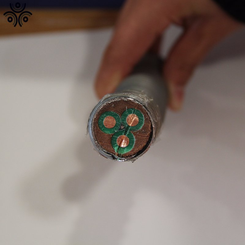 3*10mm Copper Epr Insulated Lead Inner Sheathed Cable for Electric Submersible Oil Pump