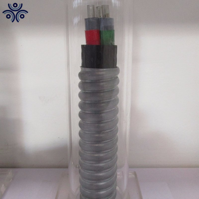 3kv Cable Armado con Chaqueta NBR 3*16mm Interconectado para Bomba de Aceite Sumergible Eléctrica