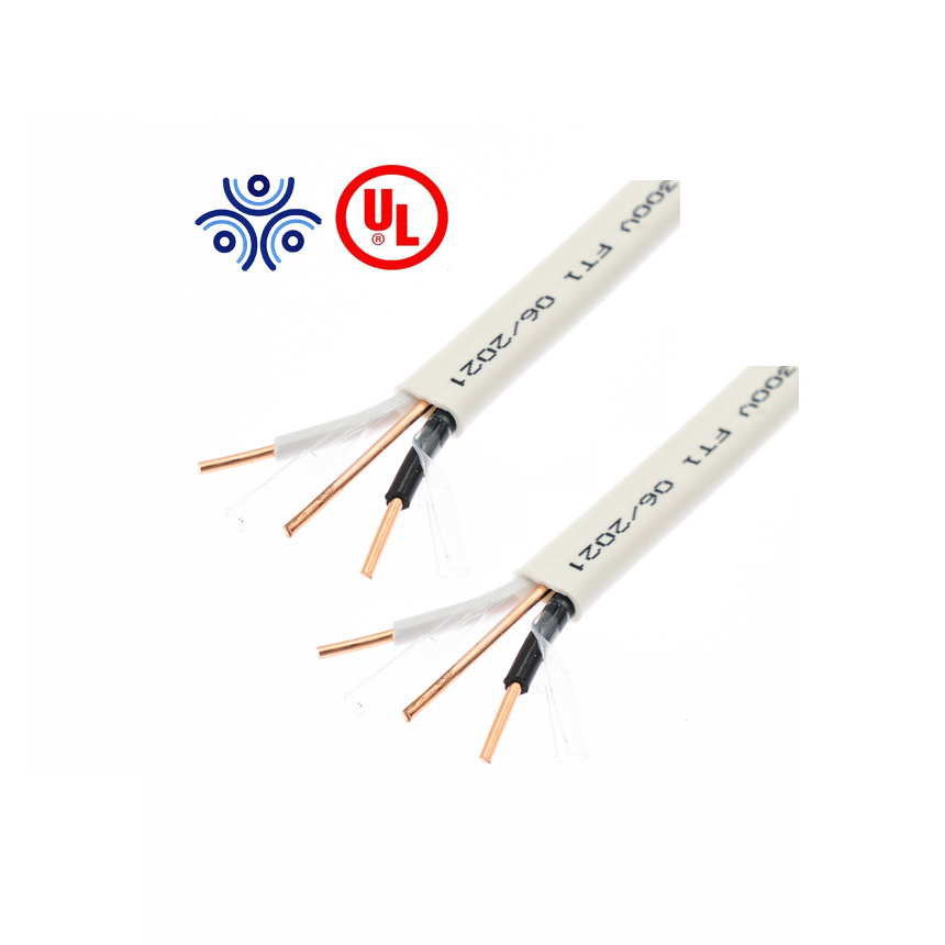 600volts Building House Electric Wires Flat Wire Nm-B in China