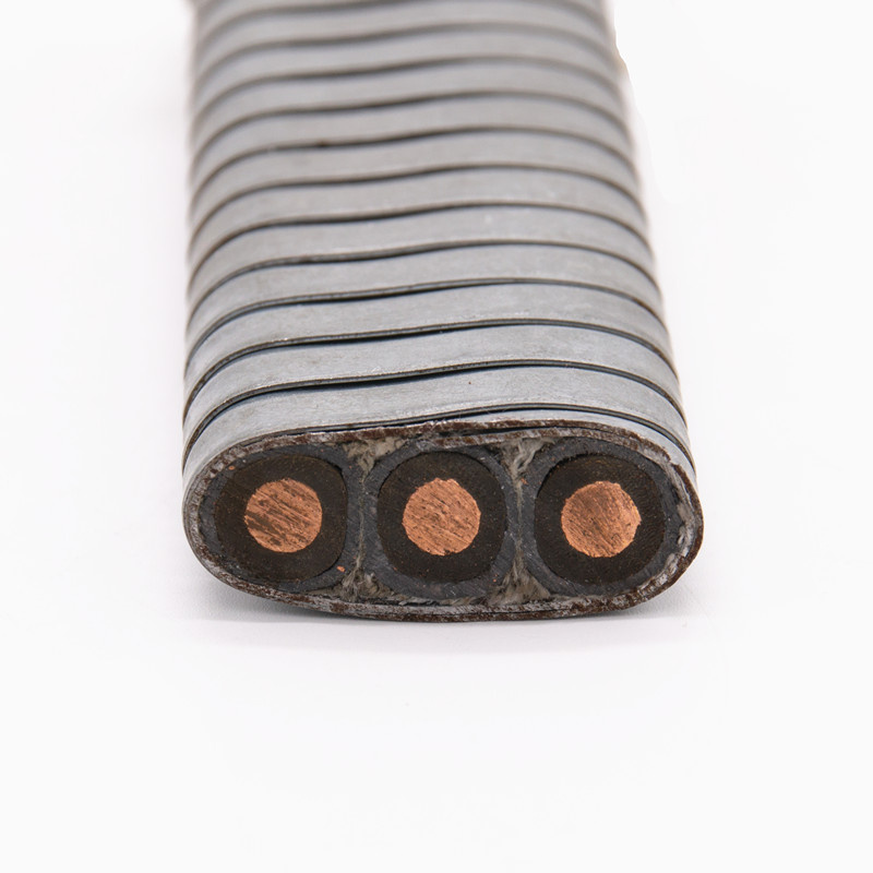 EPDM Rne Da Enterprise Standard 3 Core 2AWG Esp Cable with CCC