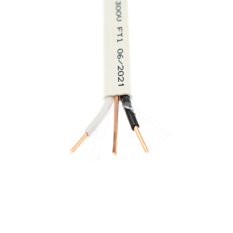 Electrical 14/2 12/2 14/3 12/3 Indoor Non-Metallic Solid Copper Conductor Aluminium PVC CSA Nmd90 Building Electric Wire Cable House China