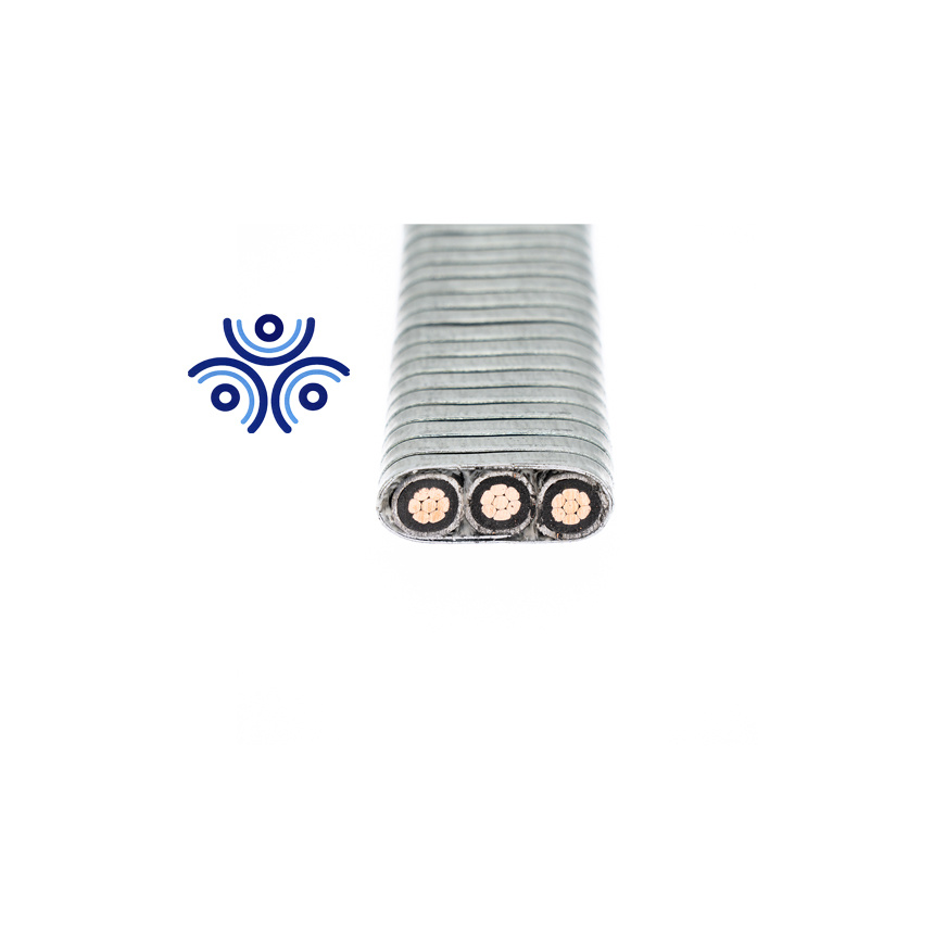 Esp Power Cables Esp System Cable Supplier Ht Cables