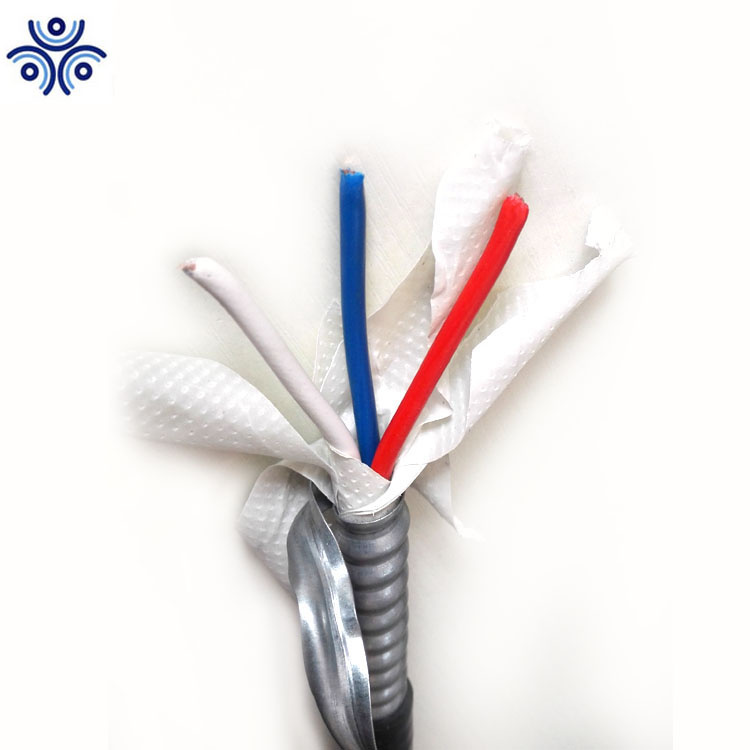 Hot Seller UL1569 Standard 12/2 AWG 12/3 Armored Cable Bx /AC /Mc Cable with UL Certificate Mc Cable